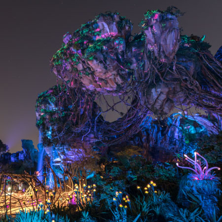 Disney's Animal Kingdom Theme Park